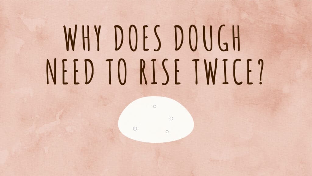 why-does-dough-need-to-rise-twice-knead-rise-bake