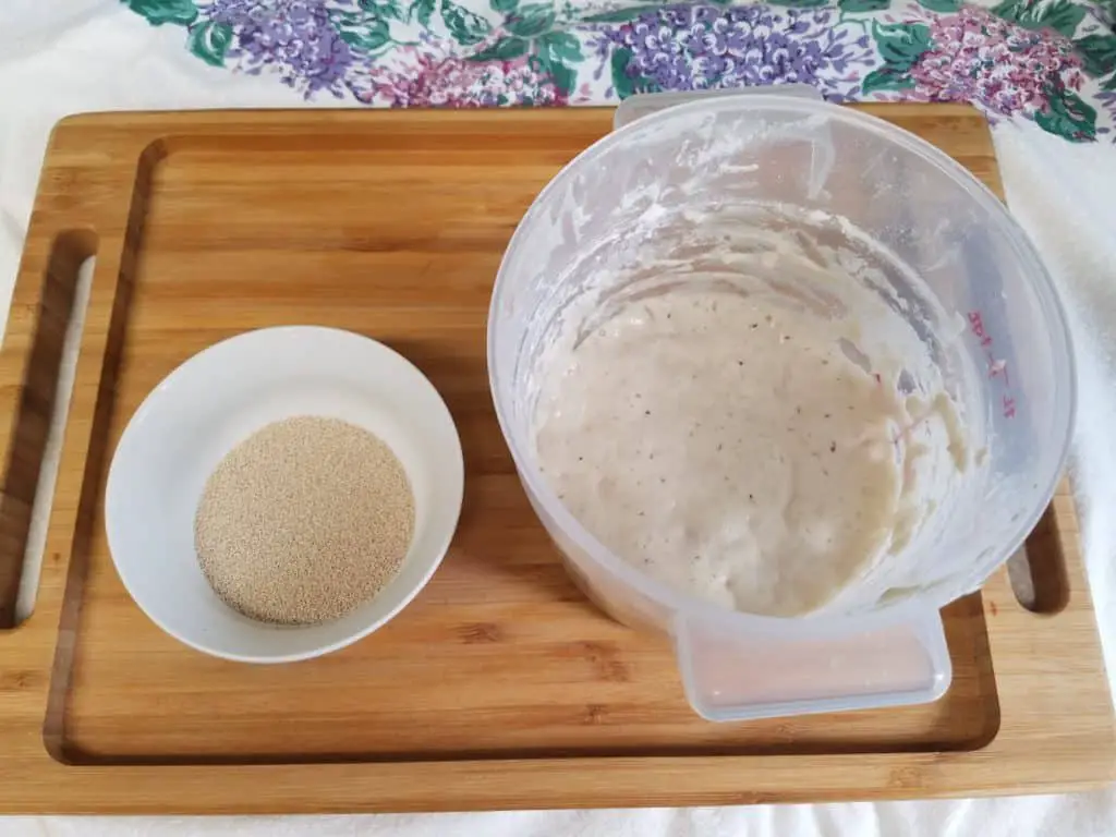 What’s the Difference Between Yeast and Starter? Knead Rise Bake