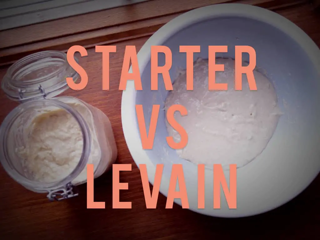 What’s The Difference Between A Starter And A Levain? – Knead Rise Bake