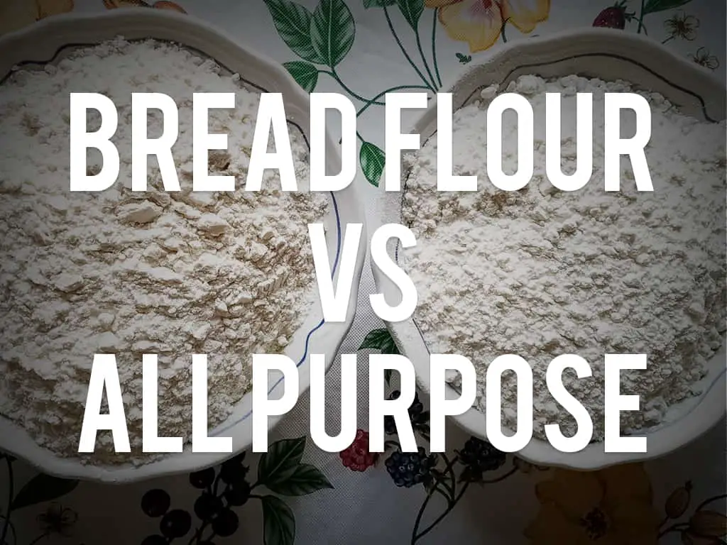 what-is-the-difference-between-bread-flour-and-all-purpose-flour