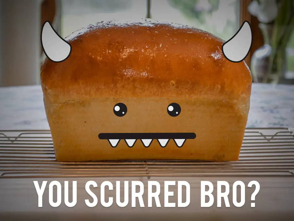 8 Reasons You Might Fear Baking Bread (But Shouldn’t) Knead Rise Bake