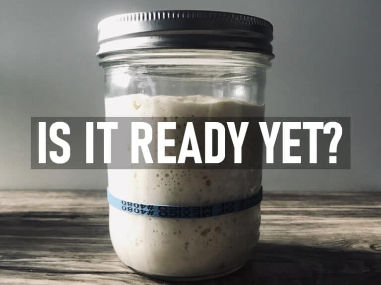 how-do-i-know-when-my-sourdough-starter-is-ready-to-use-knead-rise-bake