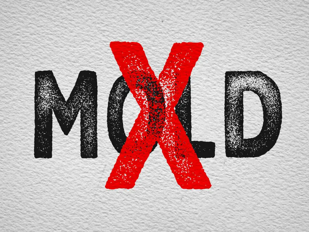 How to Keep Homemade Bread From Molding Knead Rise Bake