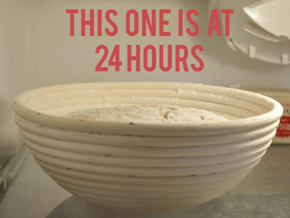 Will Dough Rise in a Fridge? Knead Rise Bake