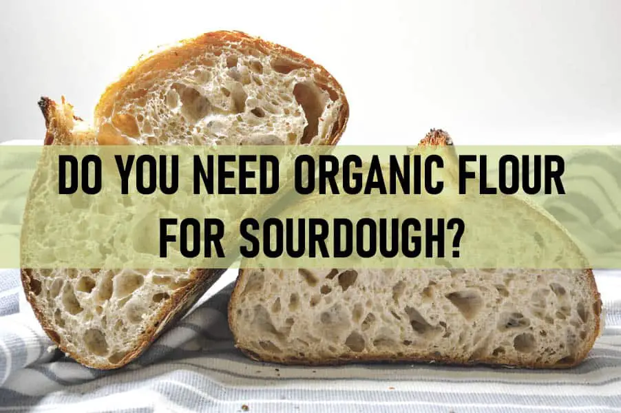 do-i-need-organic-flour-for-sourdough-knead-rise-bake