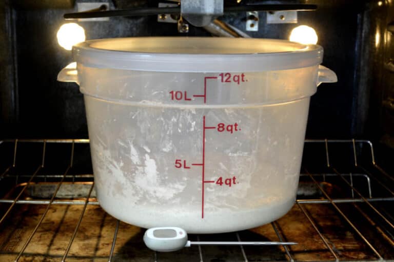 Can I Proof Dough in The Oven? Yes, Here’s How. Knead Rise Bake
