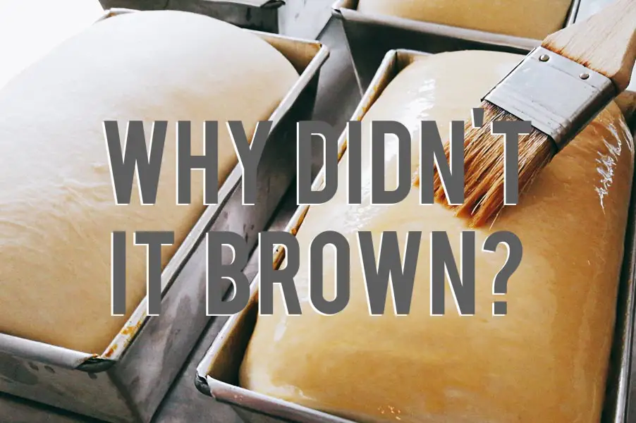 Why Didn’t My Bread Brown? Knead Rise Bake