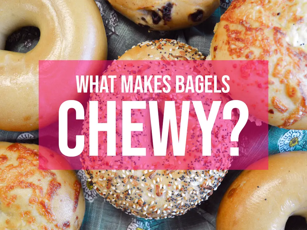 What Makes A Bagel Chewy Knead Rise Bake